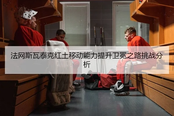fa-wang-si-wa-tai-ke-hong-tu-yi-dong-neng-li-ti-sheng-wei-mian-zhi-lu-tiao-zhan-fen-xi-2-592.jpg